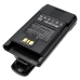Battery Replaces FNB-V138Li