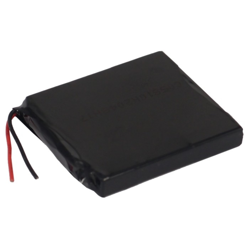 GPS Garmin CS-GFN205SL