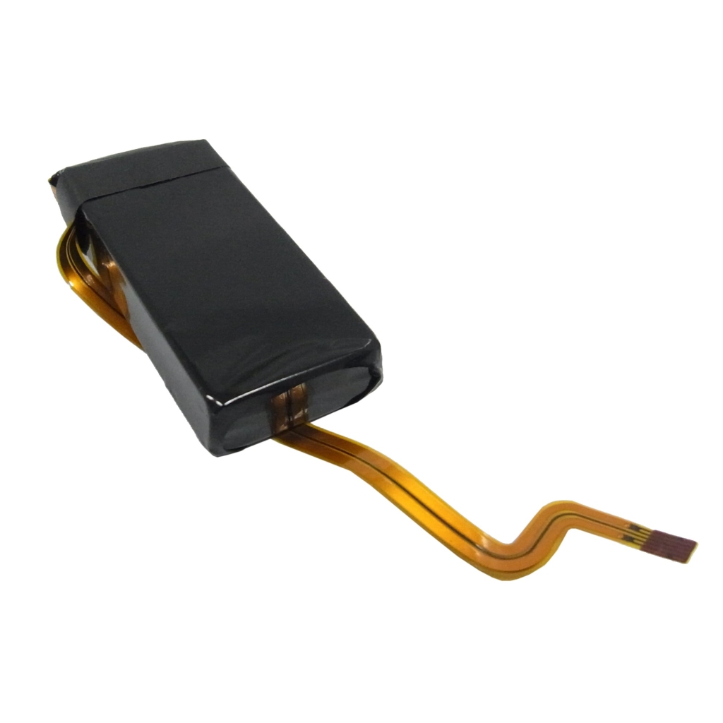 Microsoft Zune 1090