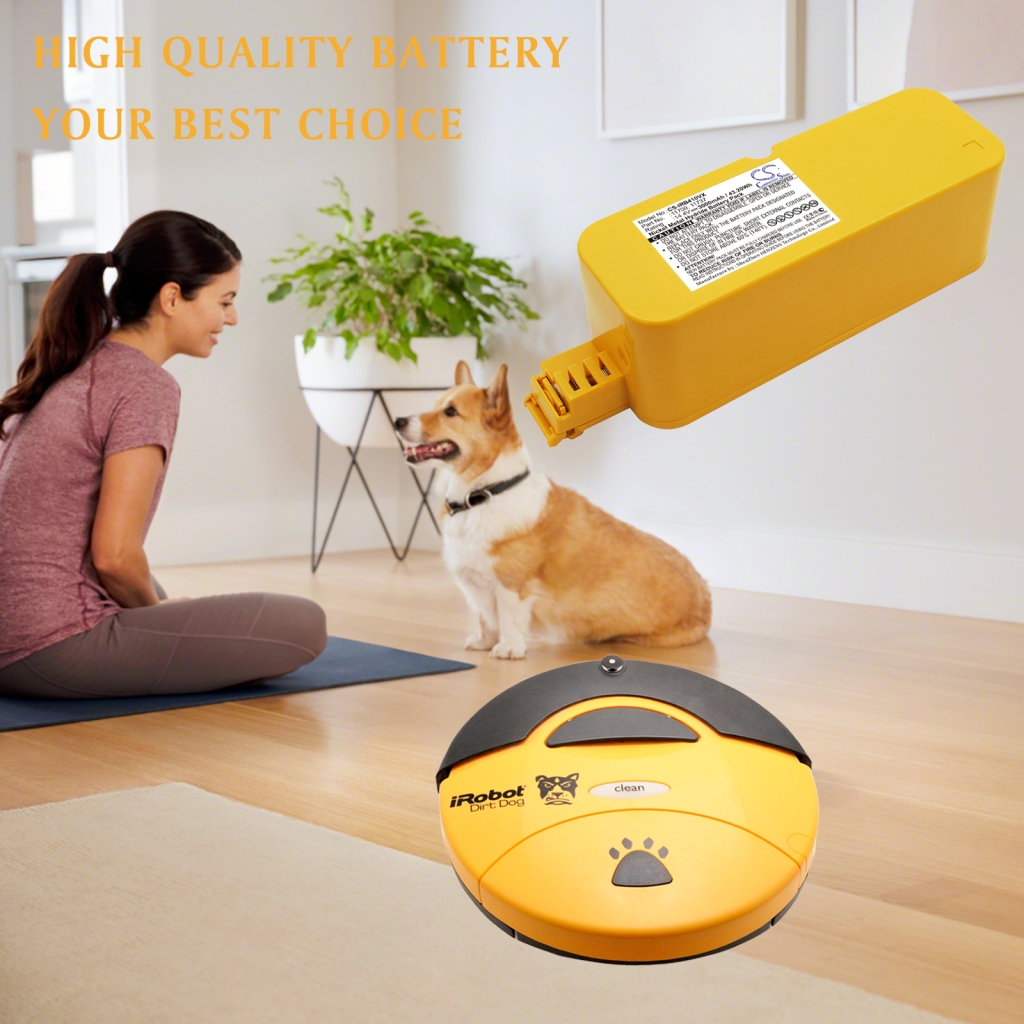 Battery compatible with Robzone